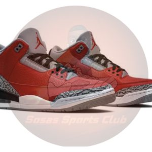 Air Jordan 3 Retro SE 'Unite'